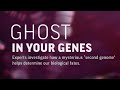 Video: Epigenetics – The Ghost In Your Genes (Full Documentary)
